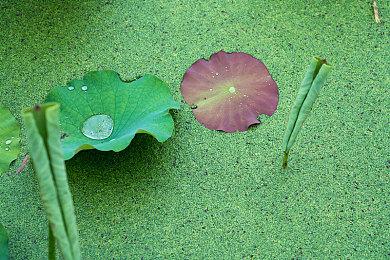 内卷？裸辞？我直接快进到退休！模拟养成游戏《退休模拟器》4月20日上线Steam